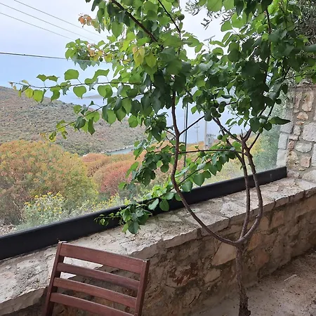 Vila D Boutique Hotel Qeparo